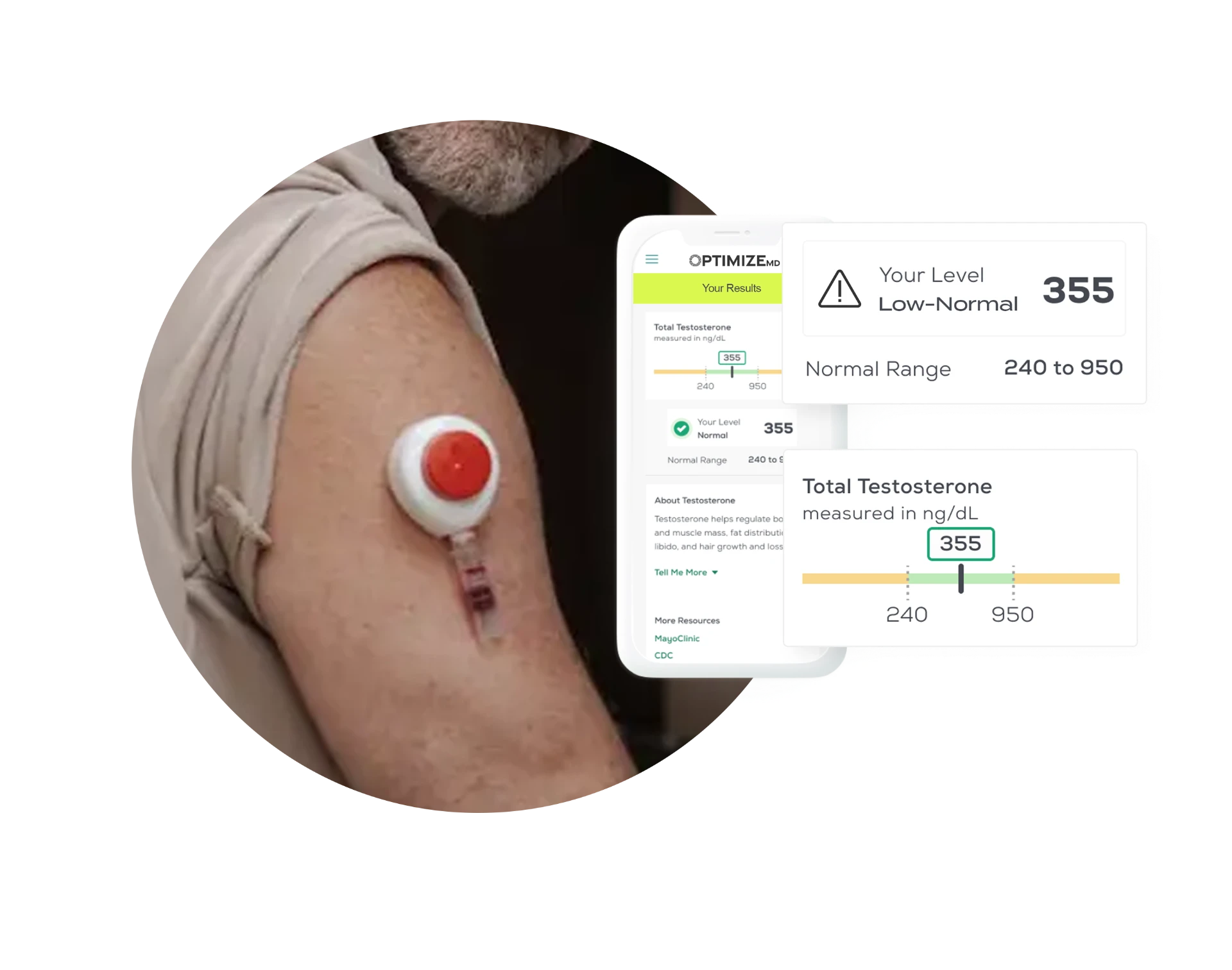 At-home blood test kit with patient results dashboard